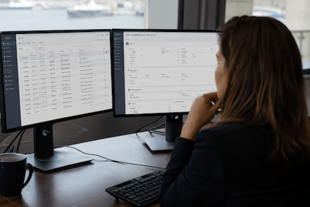 A person sits at a desk, looking at two computer monitors displaying spreadsheets, data forms, and port agency quotes. A keyboard and a mug are on the desk, with large windows and boats visible in the background.